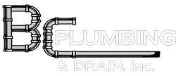 bcplumbingswfl.com