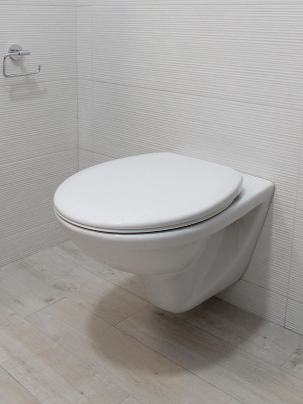 Toilet Repair & Installation Naples FL