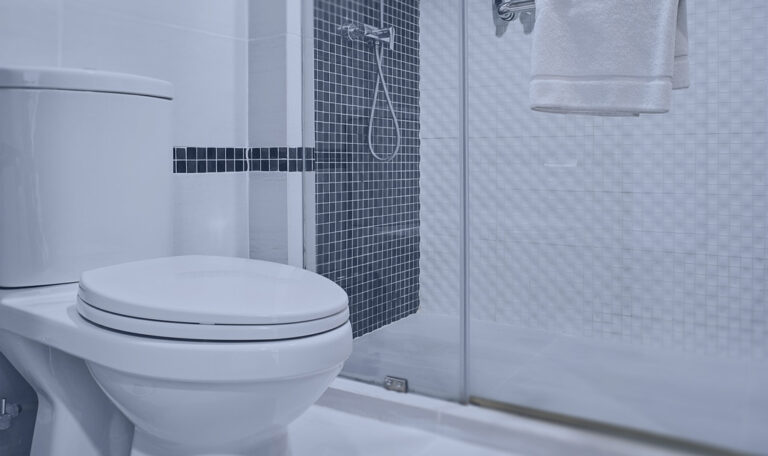 Toilet Repair & Installation Naples FL