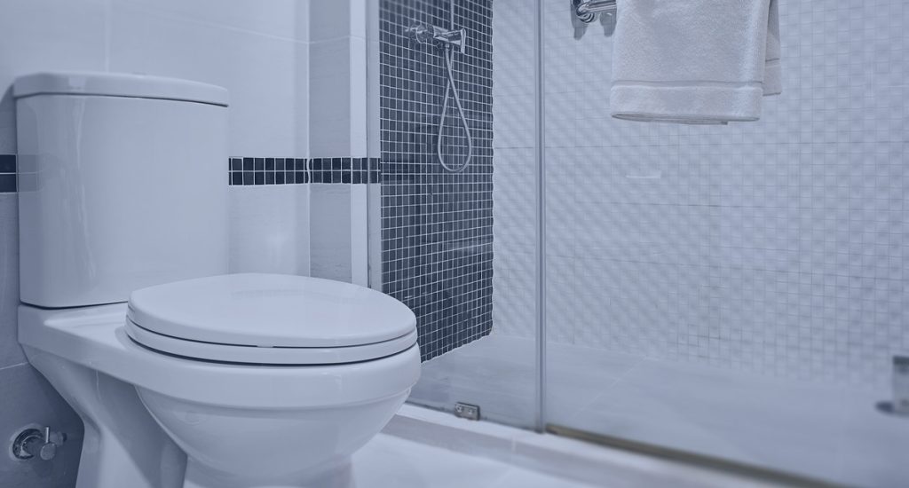 Toilet Repair & Installation Naples FL